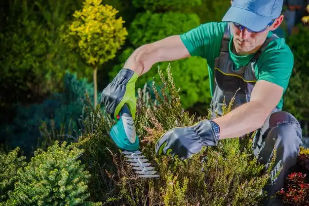 landscaping services Poplarville